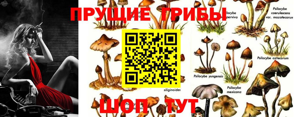 Великий Новгород  Галлюциногенные грибы мицелий  Вход с VPN 